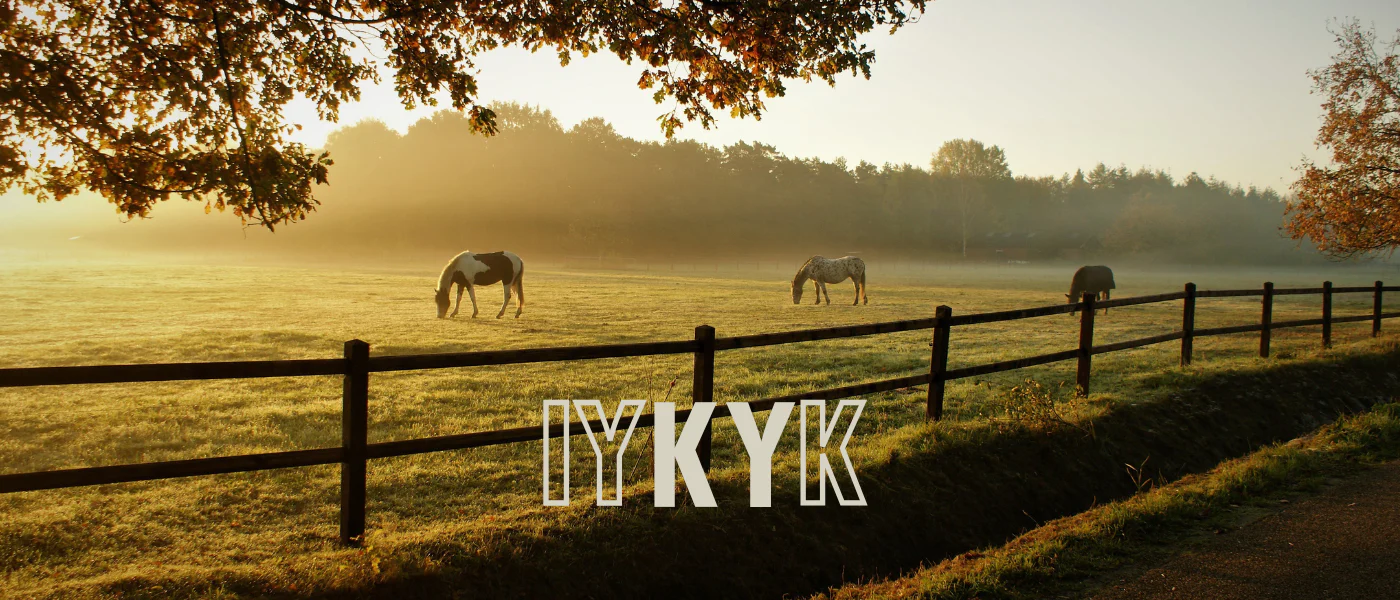 Welcome to Our Store